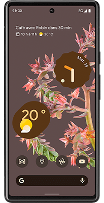 Pixel 6